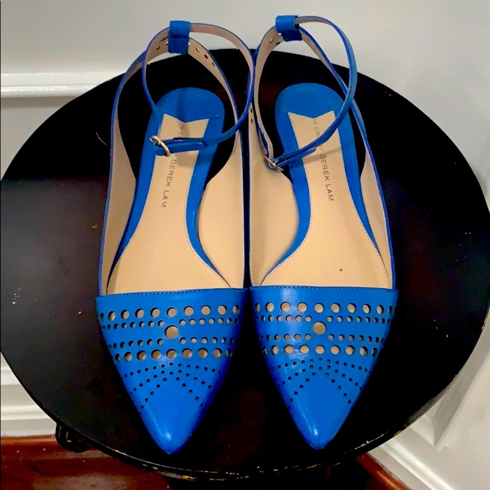 Derek Lam Blue 10 Crosby Leather Flat Dressy shoes
